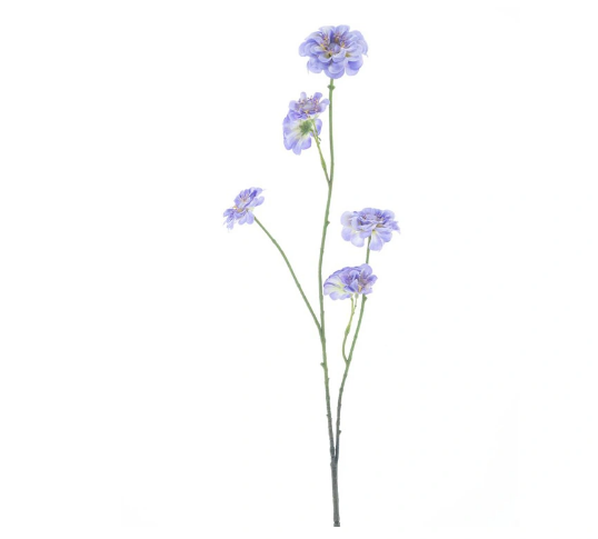 https://cdn.warentuin.nl/media/catalog/product/M/i/Mini_zinnia_spray_lavender_88_cm_5749.png