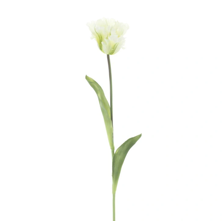 https://cdn.warentuin.nl/media/catalog/product/P/S/PSO_Single_parrot_spray_Sally_cream_71_cm_be08.png