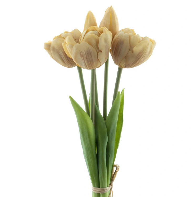 https://cdn.warentuin.nl/media/catalog/product/P/S/PSO_Triumph_tulip_bundle_Sally_x5_champagne_29_cm_e5ca.png