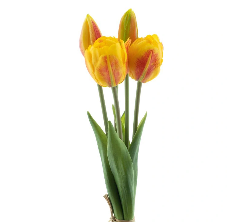 https://cdn.warentuin.nl/media/catalog/product/P/S/PSO_Triumph_tulip_bundle_Sally_x5_orange_29_cm_83e7.png