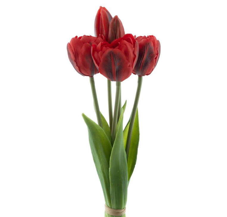 https://cdn.warentuin.nl/media/catalog/product/P/S/PSO_Triumph_tulip_bundle_Sally_x5_red_29_cm_6bd5.png