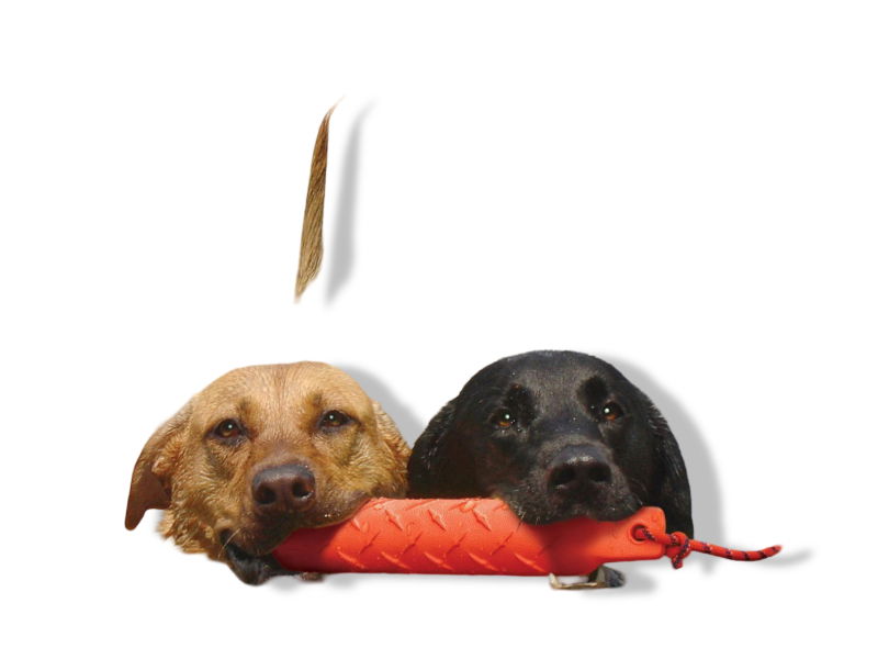 https://cdn.warentuin.nl/media/catalog/product/S/C/SCAN0035585299006_01_kong_hond_training_dummy_large_kong_gebr_de__9231.jpg