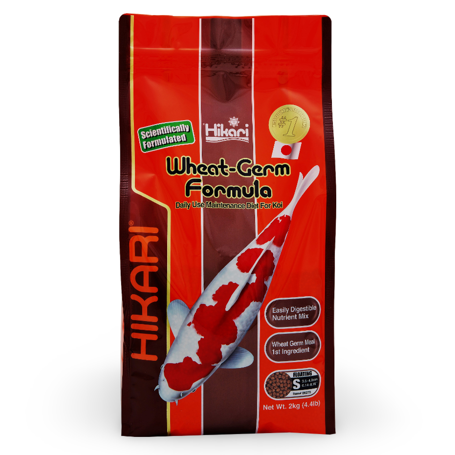 https://cdn.warentuin.nl/media/catalog/product/S/C/SCAN0042055062701_01_5c65.png