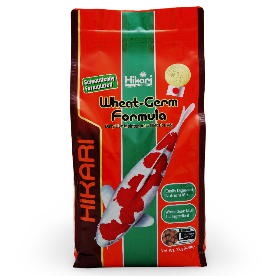 https://cdn.warentuin.nl/media/catalog/product/S/C/SCAN0042055064705_01_36d8.png