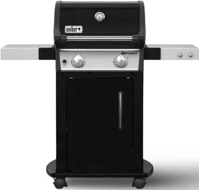 https://cdn.warentuin.nl/media/catalog/product/S/C/SCAN0077924159930_1_weber_barbecue_accesoires_spirit_e_215_gbs__24e4.jpg