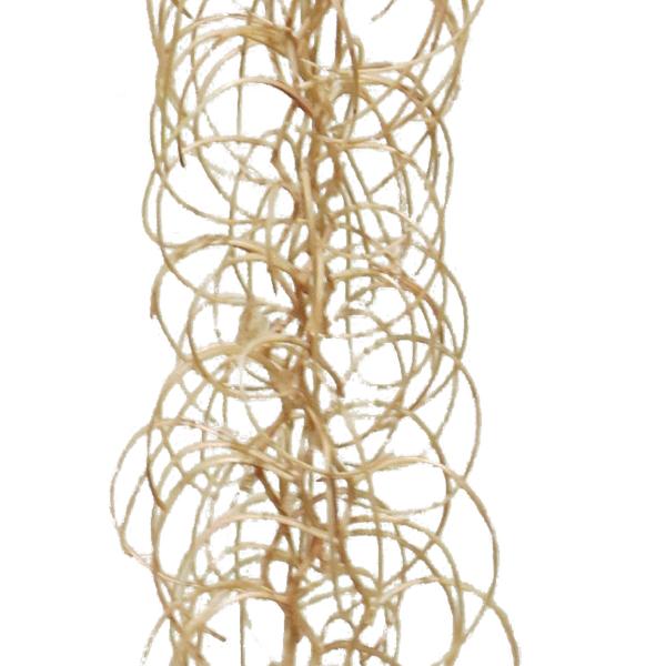https://cdn.warentuin.nl/media/catalog/product/S/C/SCAN0705405417582_01_curly_garland_beige_103cm_s_c4bc.jpg