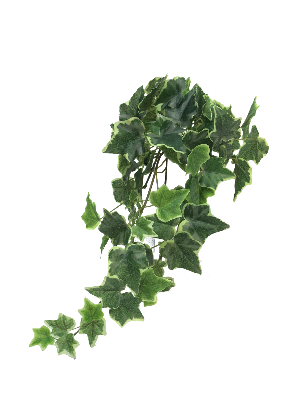 Ivy Chicago hanger M variegated 46 cm kunstbloem - Nova Nature