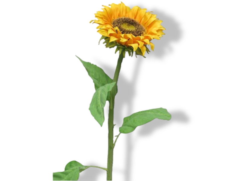https://cdn.warentuin.nl/media/catalog/product/S/C/SCAN0705458485323_01_nova_nature_sunflower_tuscany_m_77_cm_kunstb_5907.jpg