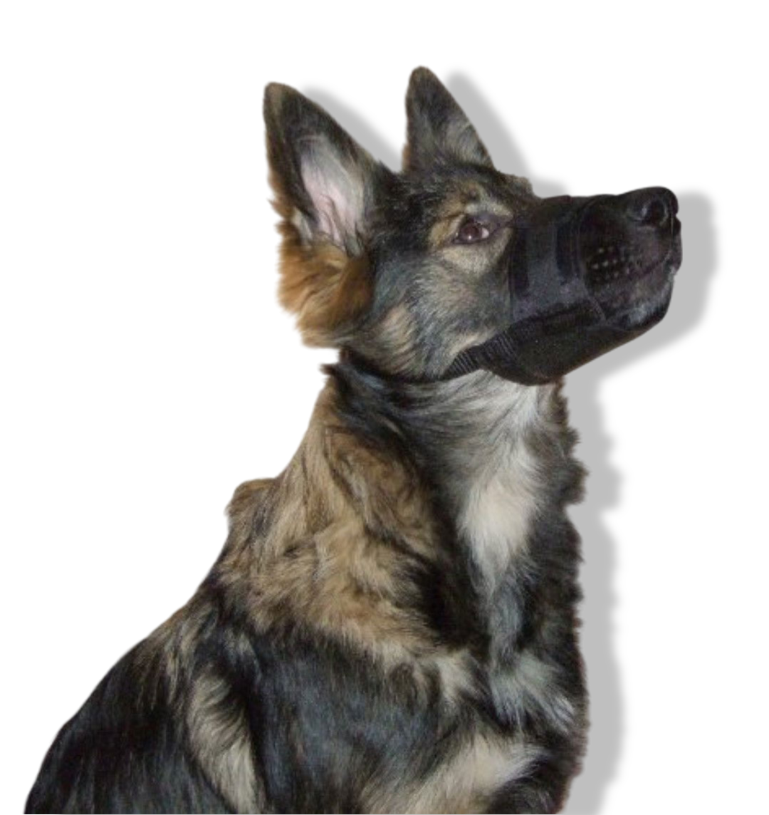 https://cdn.warentuin.nl/media/catalog/product/S/C/SCAN0755349243471_01_gebr_de_boon_mikki_muzzle_muilband_nr_2_xl_c_1ee1.png