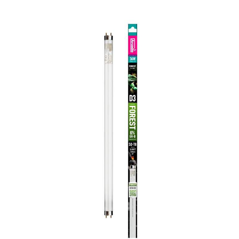 Arcadia Aquadistri d3 forest t8 lamp 6% uvb 120 cm 36 watt - Aquadistri