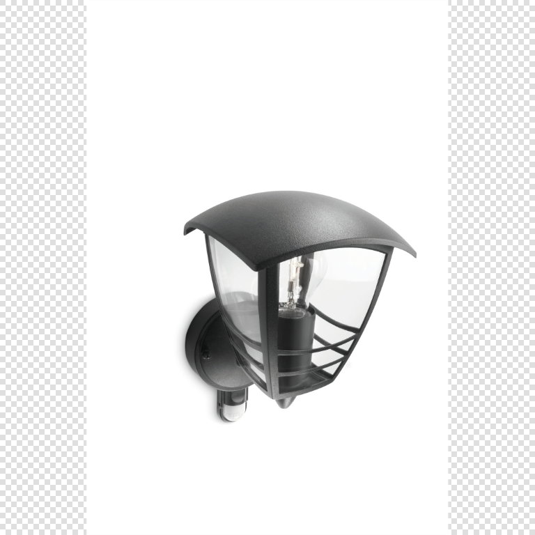 https://cdn.warentuin.nl/media/catalog/product/S/C/SCAN08718291443605_philips_verlichting_creek_buitenwandlamp_met_sensor_zwart_cf39.jpg