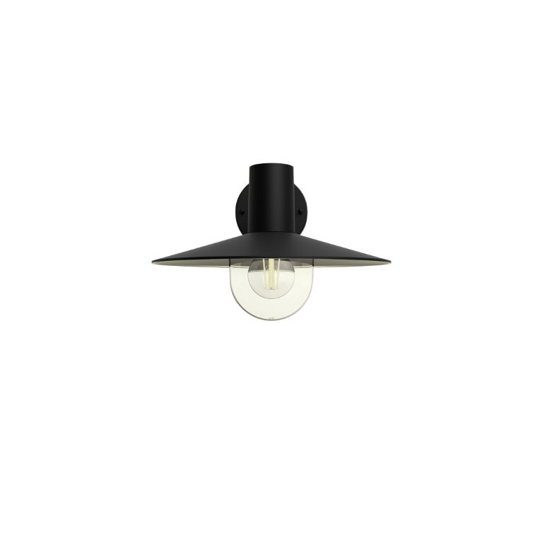 https://cdn.warentuin.nl/media/catalog/product/S/C/SCAN08718696165843_philips_verlichting_skua_buitenwandlamp_zwart_c429.jpg