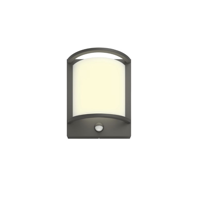 https://cdn.warentuin.nl/media/catalog/product/S/C/SCAN08718696165942_philips_verlichting_samondra_buitenwandlamp_met_sensor_antra_635e.jpg