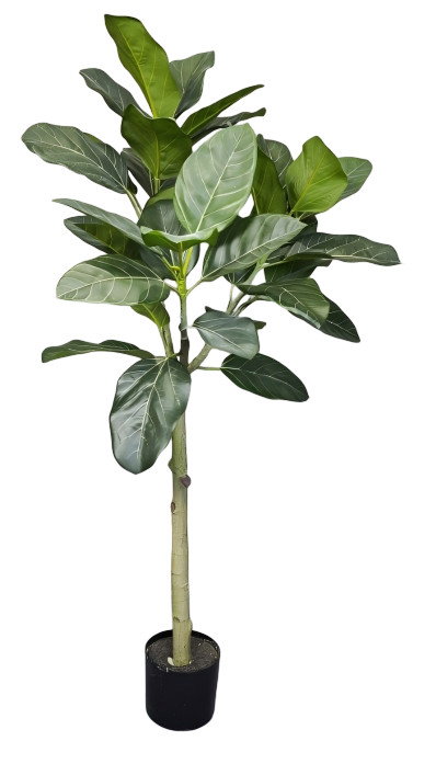 https://cdn.warentuin.nl/media/catalog/product/S/C/SCAN2100050208185_peva_audrey_ficus_tree_120_cm_met_plastic__0abd.jpg