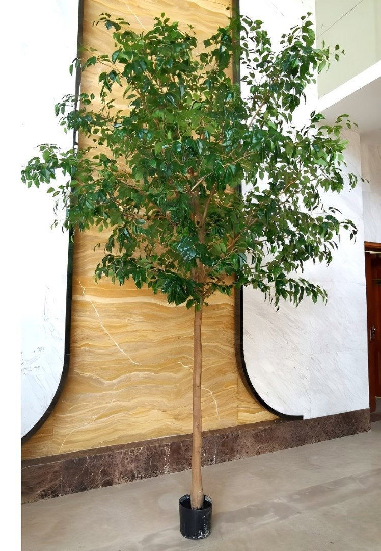 https://cdn.warentuin.nl/media/catalog/product/S/C/SCAN2100050208222_ficus_tree_360_cm_in_plastic_pot_kunstboom_724d.jpg