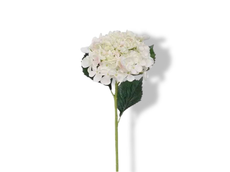 https://cdn.warentuin.nl/media/catalog/product/S/C/SCAN2500000156052_01_buitengewoon_de_boet_hortensiatak_cream_52_c_638e.jpg