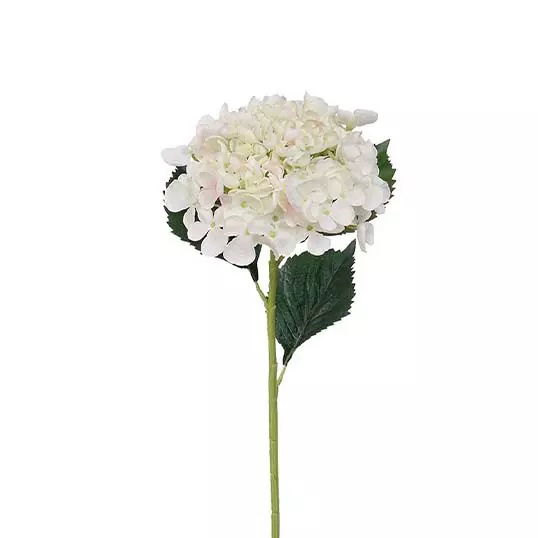 https://cdn.warentuin.nl/media/catalog/product/S/C/SCAN2500000156052_buitengewoon_boet_kunstplant_hortensiatak_cream_52_cm_kunstpl_c48e.jpg
