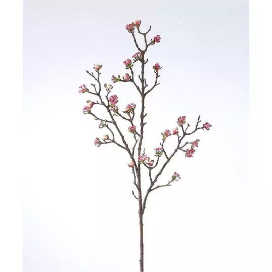https://cdn.warentuin.nl/media/catalog/product/S/C/SCAN2500000170522_buitengewoon_boet_kunstplant_garclen_berry_tak_beauty_102_cm__ea96.jpg