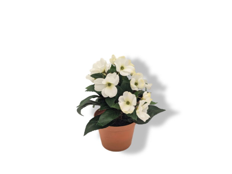 https://cdn.warentuin.nl/media/catalog/product/S/C/SCAN2500000176838_01_buitengewoon_de_boet_decoratie_artikelen_kunst__7c8b.jpg