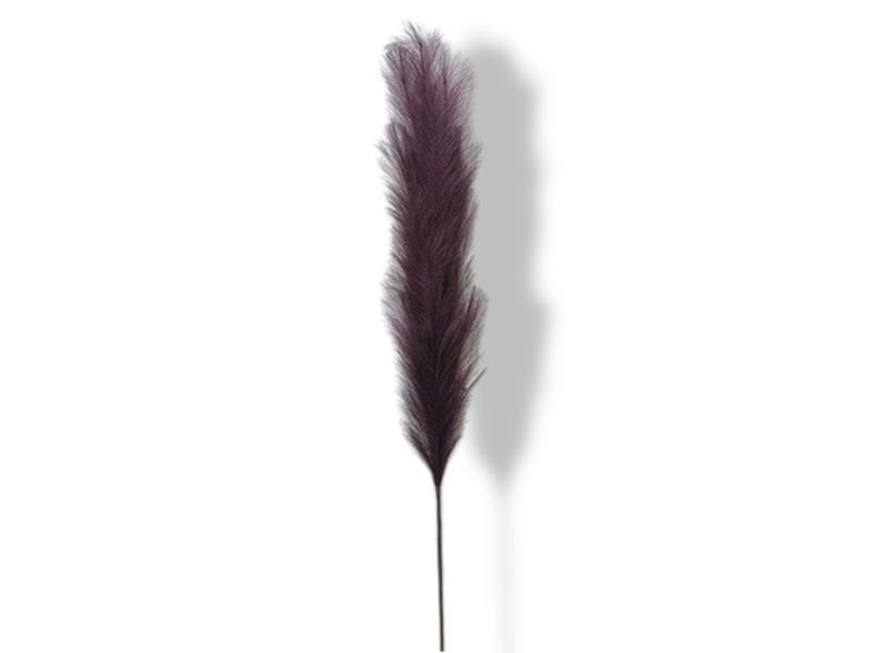https://cdn.warentuin.nl/media/catalog/product/S/C/SCAN2500000224201_01_buitengewoon_de_boet_pampas_gras_130_cm_donk_d85f.jpg