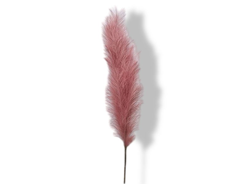 https://cdn.warentuin.nl/media/catalog/product/S/C/SCAN2500000224218_01_buitengewoon_de_boet_pampas_gras_130_cm_roze_0821.jpg