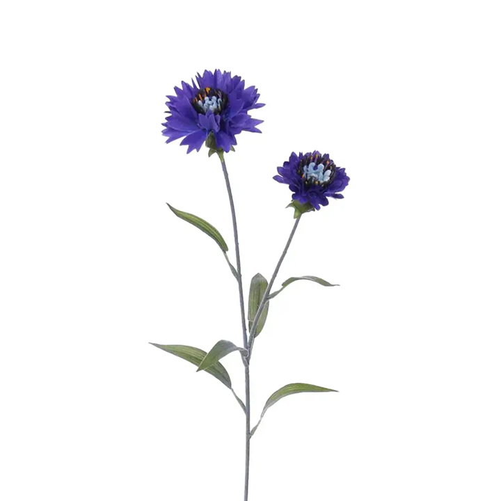 https://cdn.warentuin.nl/media/catalog/product/S/C/SCAN2500000225277_Kunst_korenbloem_blauw_73_cm_Buitengewoon_de_Boet_61af.jpg
