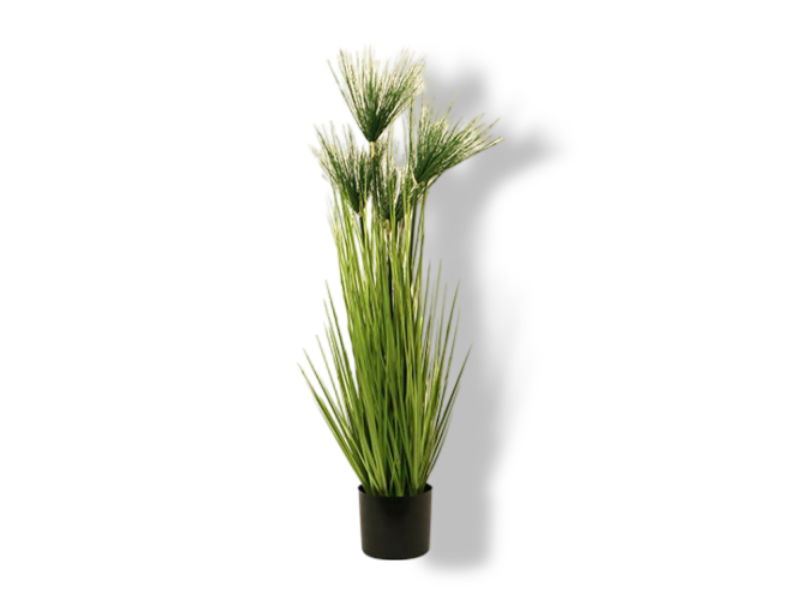 https://cdn.warentuin.nl/media/catalog/product/S/C/SCAN2500000228490_01_buitengewoon_de_boet_cycas_gras_in_pot_100_c_acd4.jpg