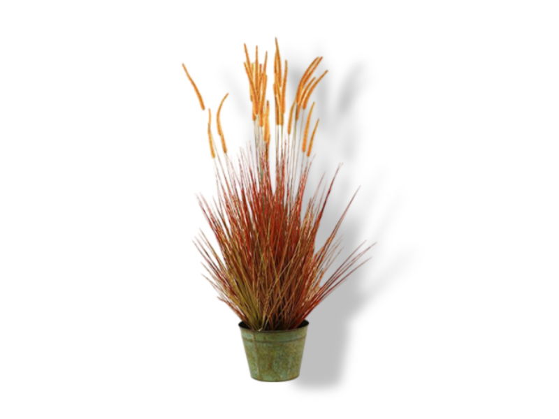 https://cdn.warentuin.nl/media/catalog/product/S/C/SCAN2500000228544_01_buitengewoon_de_boet_stekelkamgras_in_pot_14_8c61.jpg