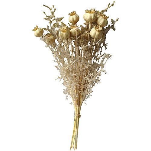 https://cdn.warentuin.nl/media/catalog/product/S/C/SCAN2500000229688_buitengewoon_boet_kunstbloem_poppy_seed_capsule_36cm_old_whit_0423.jpg