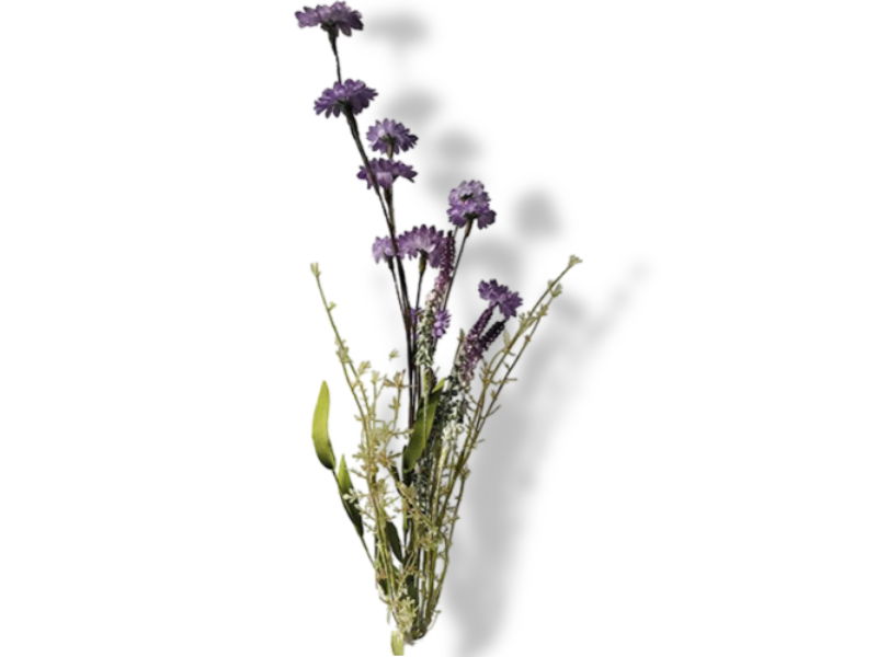 https://cdn.warentuin.nl/media/catalog/product/S/C/SCAN2500000229787_01_buitengewoon_de_boet_madelief_bosje_55cm_paa_5733.jpg