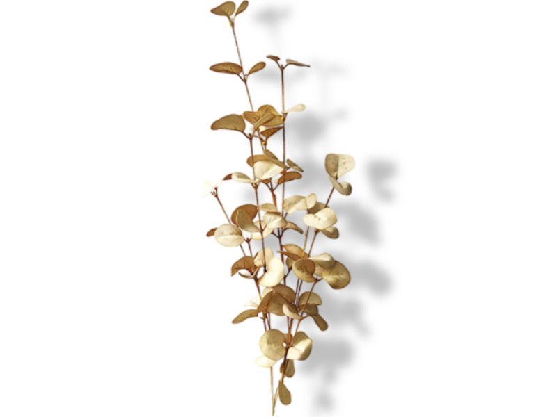 https://cdn.warentuin.nl/media/catalog/product/S/C/SCAN2500000229794_01_buitengewoon_de_boet_eucalyptus_bladeren_70c_bdeb.jpg