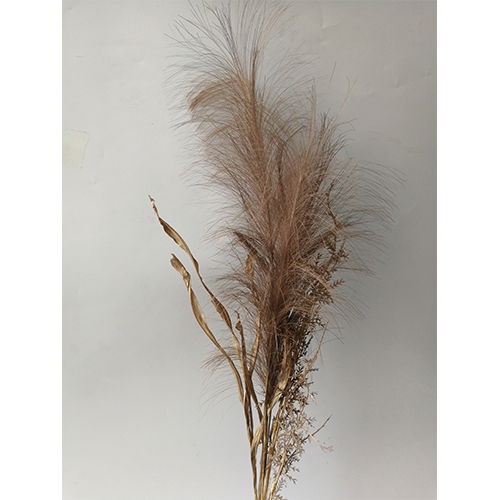 https://cdn.warentuin.nl/media/catalog/product/S/C/SCAN2500000229909_buitengewoon_boet_kunstbloem_pampas_gras_bosje_met_blad_75cm__6118.jpg