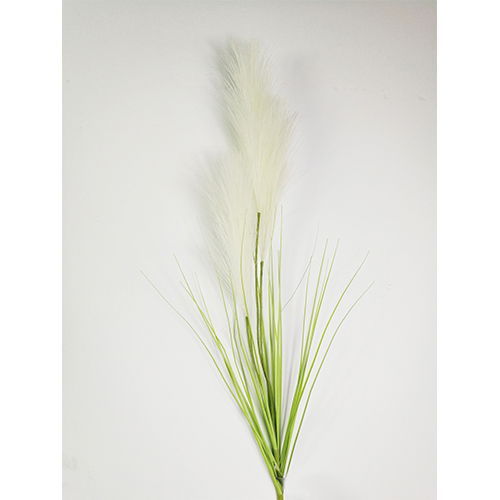 Pampas gras 80cm met blad creme Buitengewoon de Boet