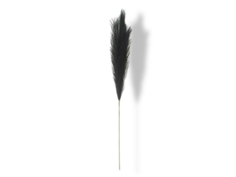 https://cdn.warentuin.nl/media/catalog/product/S/C/SCAN2500000229985_01_buitengewoon_de_boet_pampas_gras_100_cm_zwar_84b5.jpg