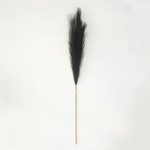 https://cdn.warentuin.nl/media/catalog/product/S/C/SCAN2500000229985_buitengewoon_boet_kunstplant_pampas_gras_100_cm_zwart_kunstpl_1868.jpg