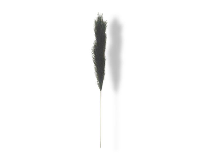https://cdn.warentuin.nl/media/catalog/product/S/C/SCAN2500000229992_01_buitengewoon_de_boet_pampas_gras_130_cm_zwar_326f.jpg