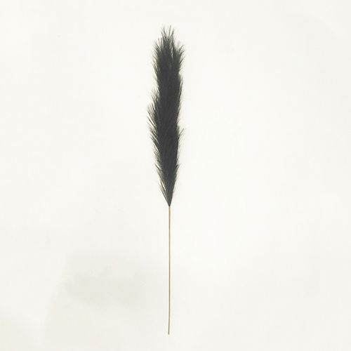 https://cdn.warentuin.nl/media/catalog/product/S/C/SCAN2500000229992_buitengewoon_boet_kunstplant_pampas_gras_130_cm_zwart_kunstpl_a4b9.jpg