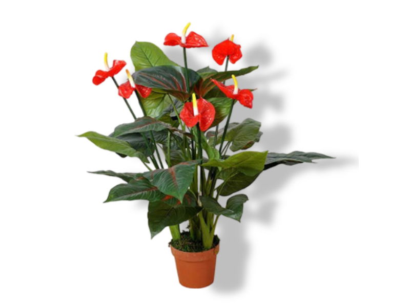 https://cdn.warentuin.nl/media/catalog/product/S/C/SCAN2500000230127_01_buitengewoon_de_boet_anthurium_95_cm_kunstbl_5f95.jpg