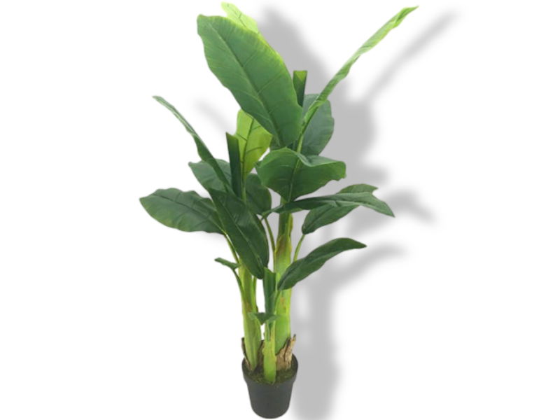 https://cdn.warentuin.nl/media/catalog/product/S/C/SCAN2500000230189_01_buitengewoon_de_boet_bananenboom_125_cm_kuns_fa58.jpg