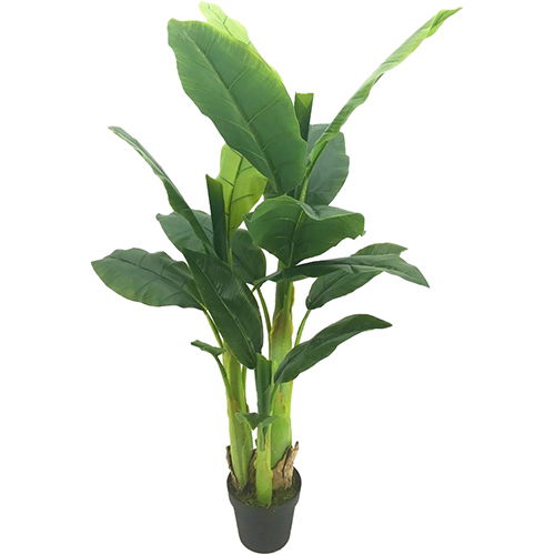 https://cdn.warentuin.nl/media/catalog/product/S/C/SCAN2500000230189_buitengewoon_boet_kunstbloem_bananenboom_125_cm_b837.jpg