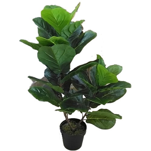 https://cdn.warentuin.nl/media/catalog/product/S/C/SCAN2500000230202_buitengewoon_boet_kunstbloem_fiddle_tree_85_cm_84f7.jpg