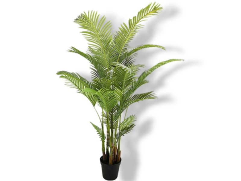 https://cdn.warentuin.nl/media/catalog/product/S/C/SCAN2500000230257_01_buitengewoon_de_boet_areca_palm_190_cm_kunst_3074.jpg