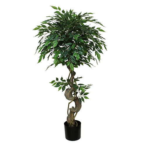 https://cdn.warentuin.nl/media/catalog/product/S/C/SCAN2500000231919_buitengewoon_boet_kunstbloem_mini_ficus_120_cm_c092.jpg