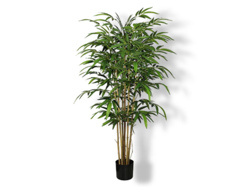 https://cdn.warentuin.nl/media/catalog/product/S/C/SCAN2500000231971_01_buitengewoon_de_boet_bamboe_groen_155_cm_kun_df93.jpg