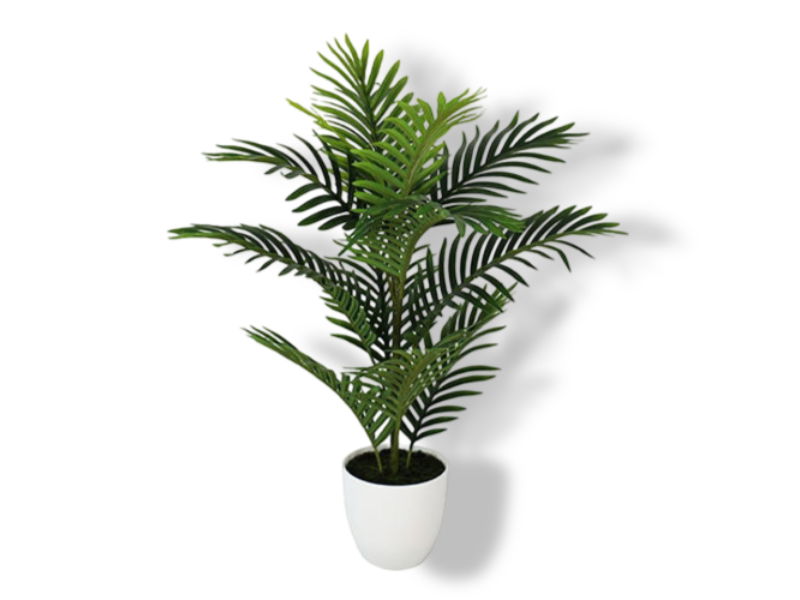 https://cdn.warentuin.nl/media/catalog/product/S/C/SCAN2500000231995_01_buitengewoon_de_boet_mini_palm_75_cm_kunstbl_37dd.jpg