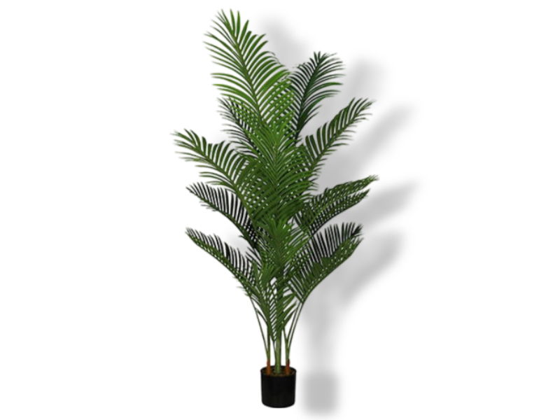 https://cdn.warentuin.nl/media/catalog/product/S/C/SCAN2500000232046_01_buitengewoon_de_boet_areca_palm_165_cm_kunst_f587.jpg
