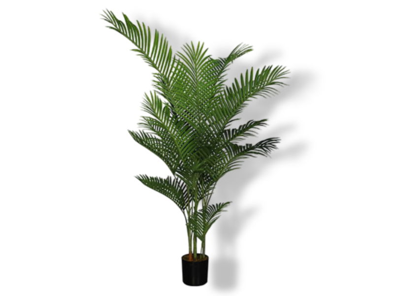 https://cdn.warentuin.nl/media/catalog/product/S/C/SCAN2500000232053_01_buitengewoon_de_boet_areca_palm_185_cm_kunst_d99f.jpg