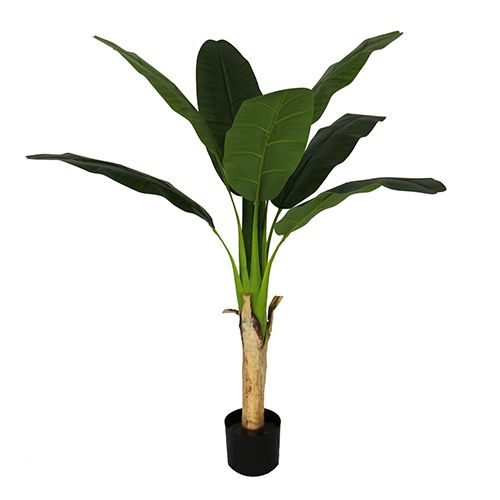 https://cdn.warentuin.nl/media/catalog/product/S/C/SCAN2500000232077_buitengewoon_boet_kunstbloem_bananenplant_120_cm_3a13.jpg