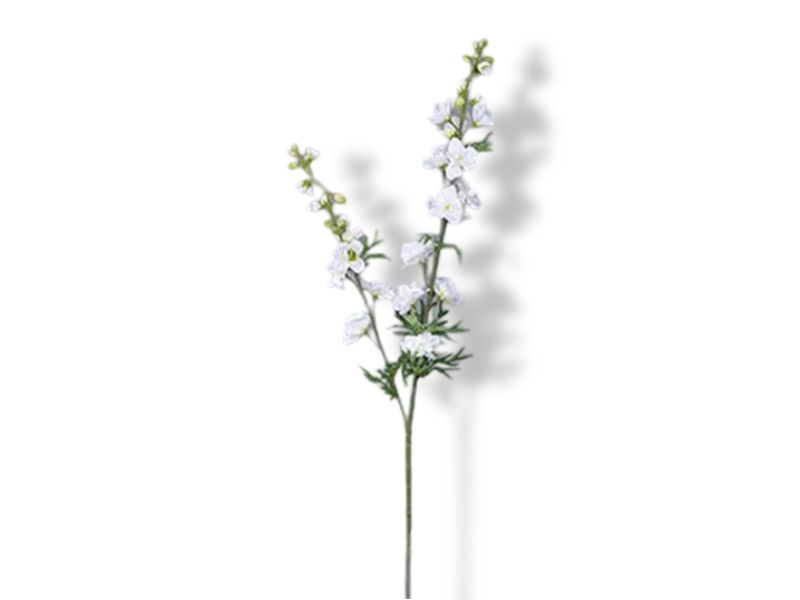https://cdn.warentuin.nl/media/catalog/product/S/C/SCAN2500000233920_01_buitengewoon_de_boet_delphinium_tak_cream_98_d969.jpg