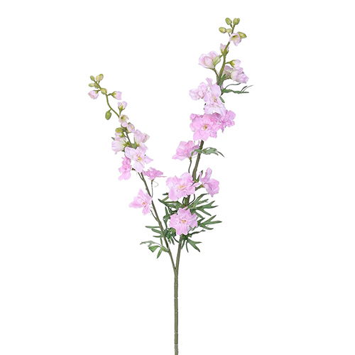 Delphinium tak l.pink Buitengewoon de Boet